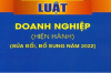 luật doanh nghiệp 2022