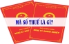 Tra cứu mã số thuế 2025: Hướng dẫn tra cứu nhanh và chính xác