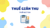 Thuế gián thu: Hiểu rõ để tối ưu hóa nghĩa vụ thuế của doanh nghiệp