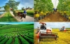 Hợp tác xã có phải là doanh nghiệp không? Phân biệt chi tiết từ A-Z
