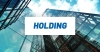 Công ty holding là gì? Điều kiện, thủ tục thành lập công ty holding
