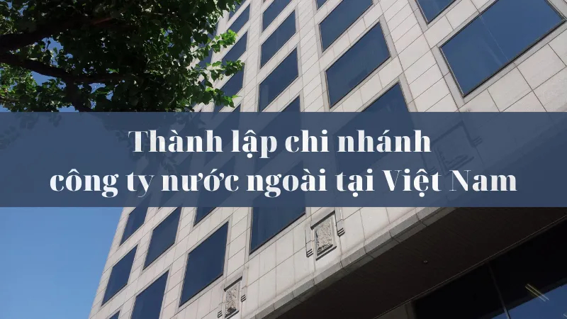 Thành lập chi nhánh, văn phòng đại diện tại Việt Nam.