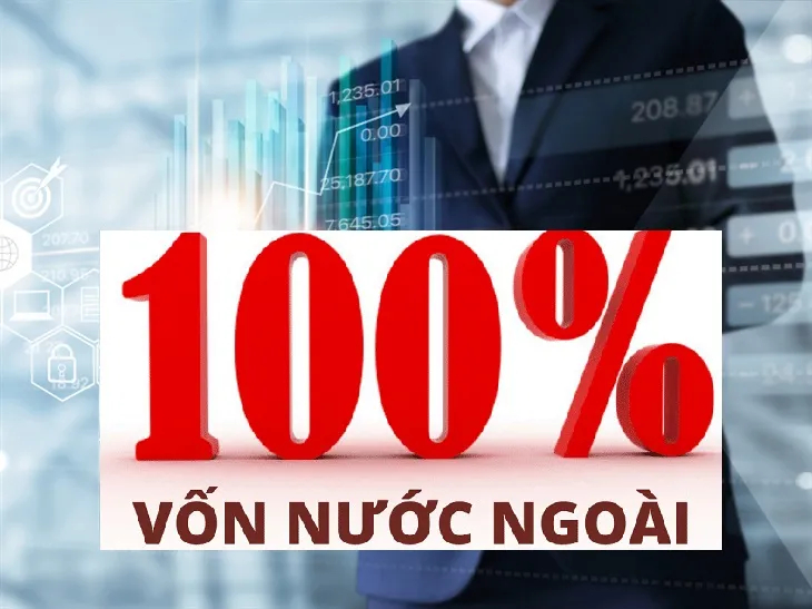 Các hình thức thành lập công ty vốn nước ngoài phổ biến tại Việt Nam hiện nay.