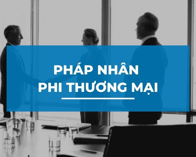 Phân loại pháp nhân gồm pháp nhân thương mại và pháp nhân phi thương mại.