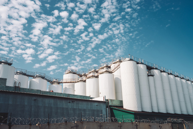 Thành lập doanh nghiệp chế xuất là gì?