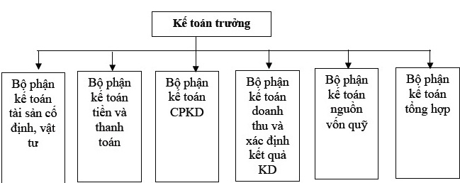 Sơ đồ bộ máy kế toán là gì? 