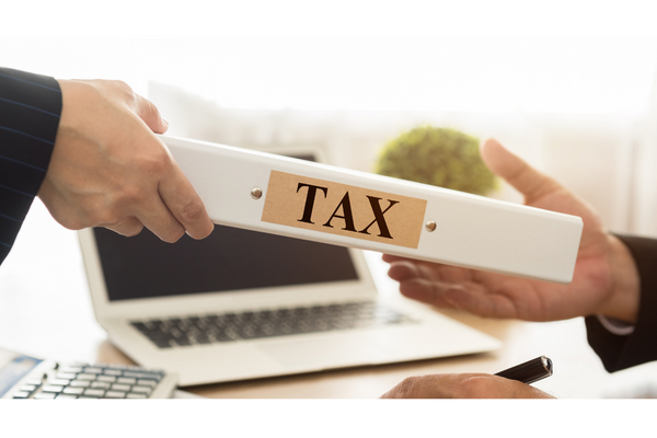 Công ty mới thành lập phải thực hiện kê khai và nộp các loại thuế theo quy định khi đi vào hoạt động.