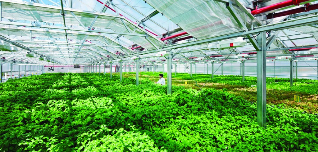Các ưu đãi thuế và lưu ý quan trọng khi vận hành công ty nông nghiệp.