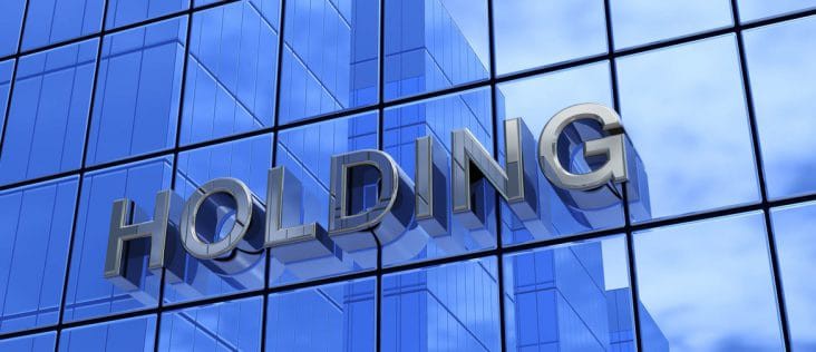 Công ty holding là doanh nghiệp chuyên nắm giữ và quản lý vốn tại các công ty con.